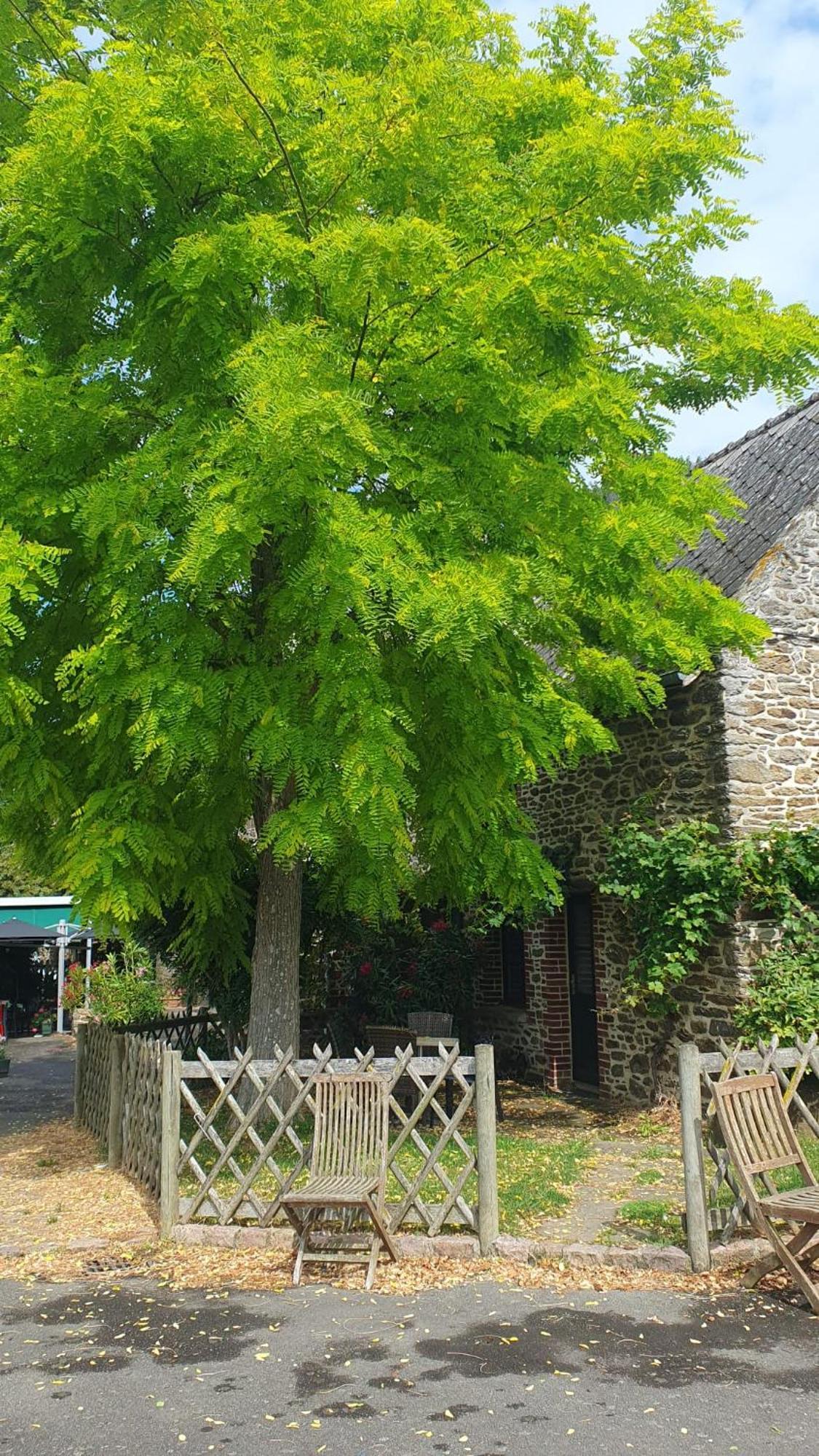 L'Auberge De La Porte Saint-Jouan-des-Guérets Екстериор снимка