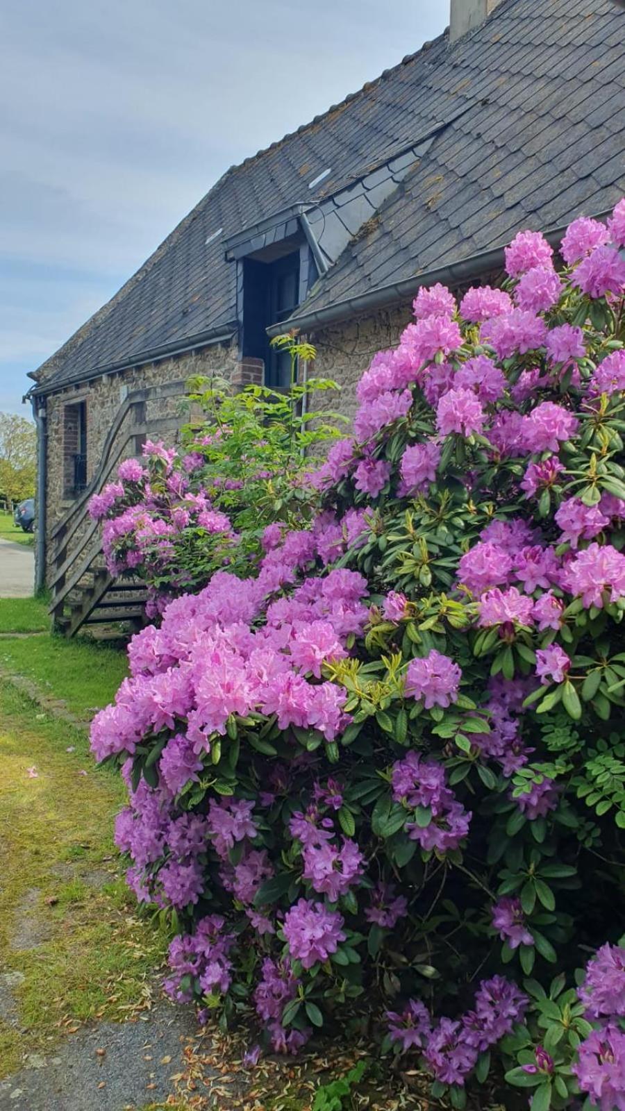 L'Auberge De La Porte Saint-Jouan-des-Guérets Екстериор снимка